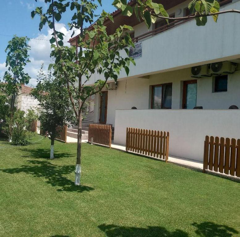 Pestele Ca Odinioară