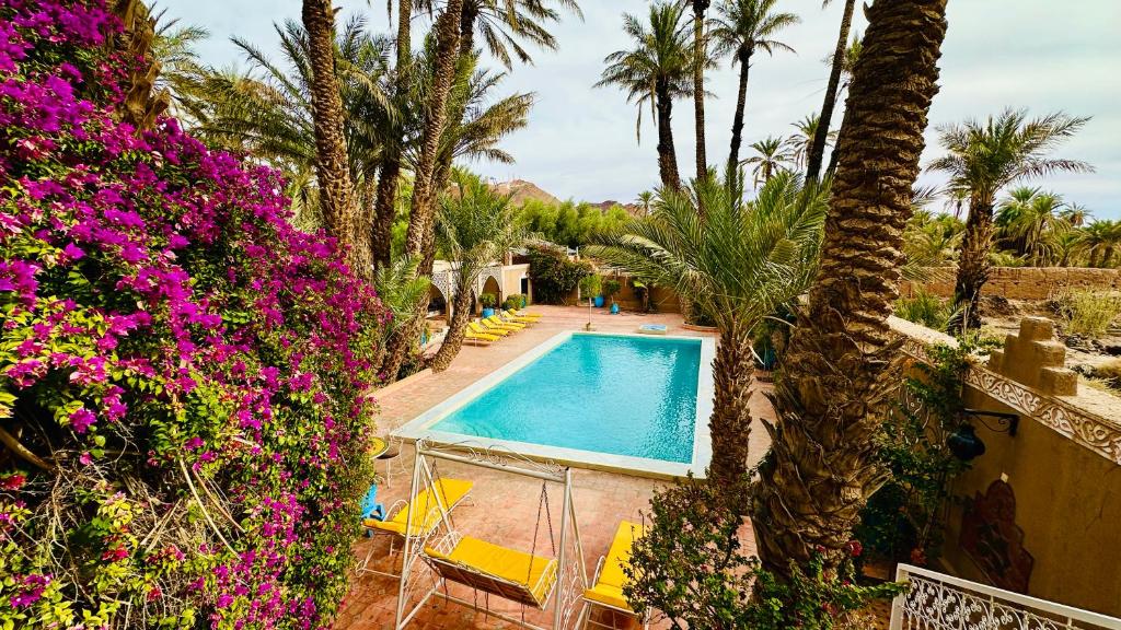 a swimming pool in a garden with purple flowers at Chez Ali Zagora Authentic Hotel Restaurant and Desert Excursions in Zagora