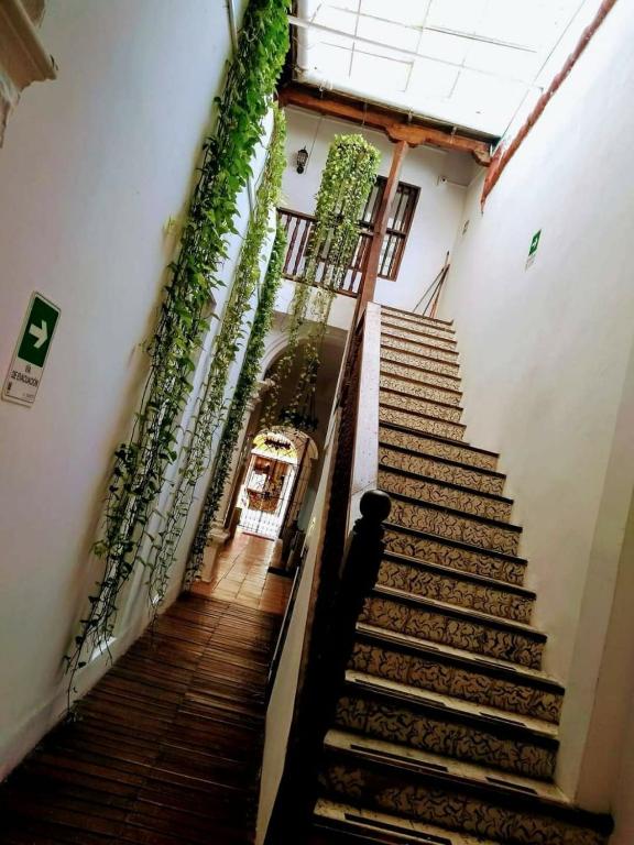 a staircase in a building with potted plants at Santa Alejandría Hotel in Cartagena de Indias