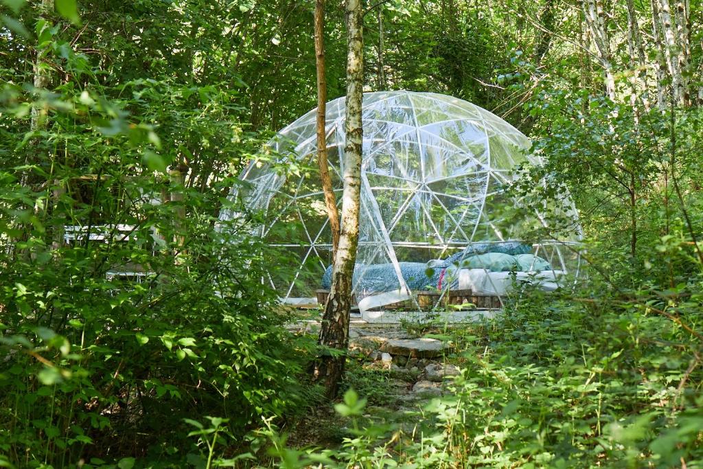 Les Bois de Saint Auvent - immagine 1