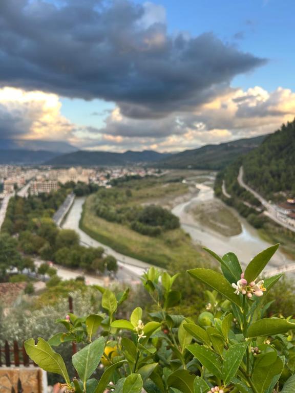 a view of a river and a city at Veranda Guest House in Berat