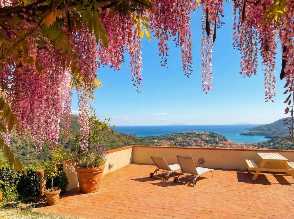 Aria di Collina - Isola d'Elba - Housity