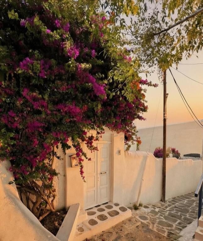 White Pearl Mykonos - 14