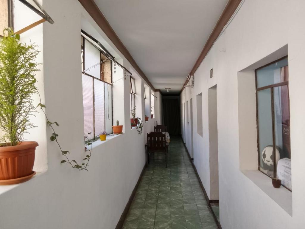 Alojamiento hostel constitucional