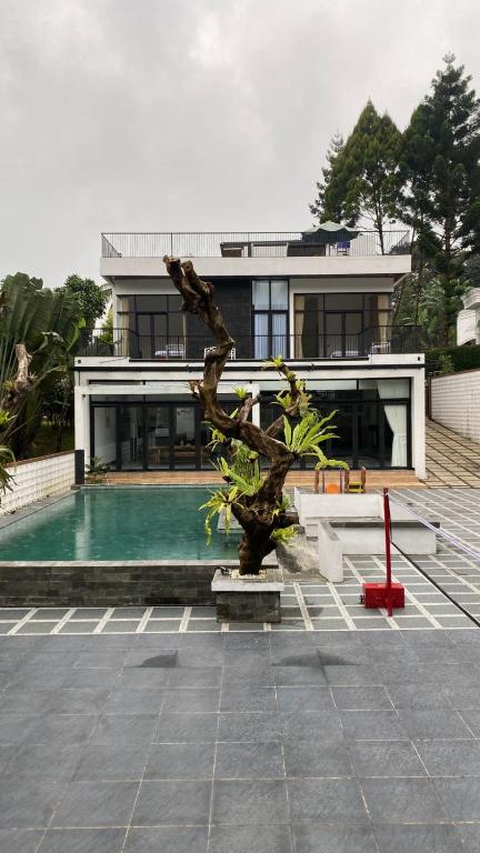 a house with a pool and a tree in front of it at Stella Di Mare Puncak with Private Pool 5 Bedrooms in Sampal 2