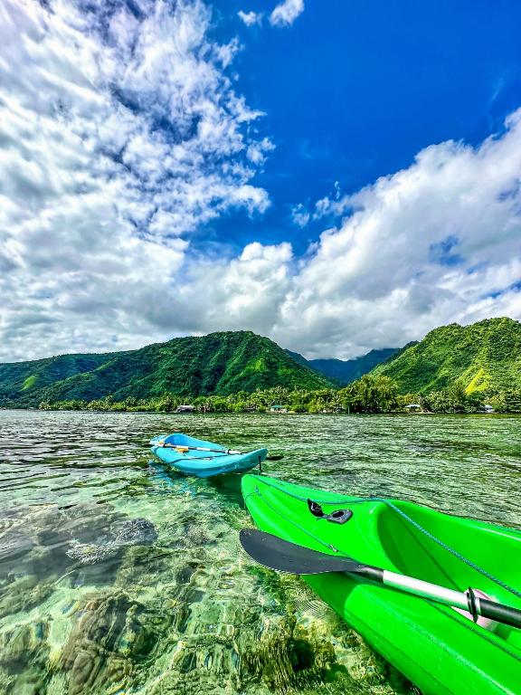 Teahupo'o Lodge Tahiti - Studio Natura, calme & vue montagne - photo 7 - Tahiti, Polynésie