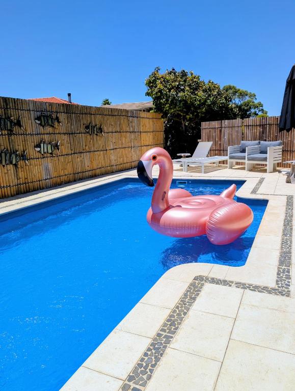 two pink inflatable flamingos in a swimming pool at 5BR Beachside Home with Pool, Park Access in Perth