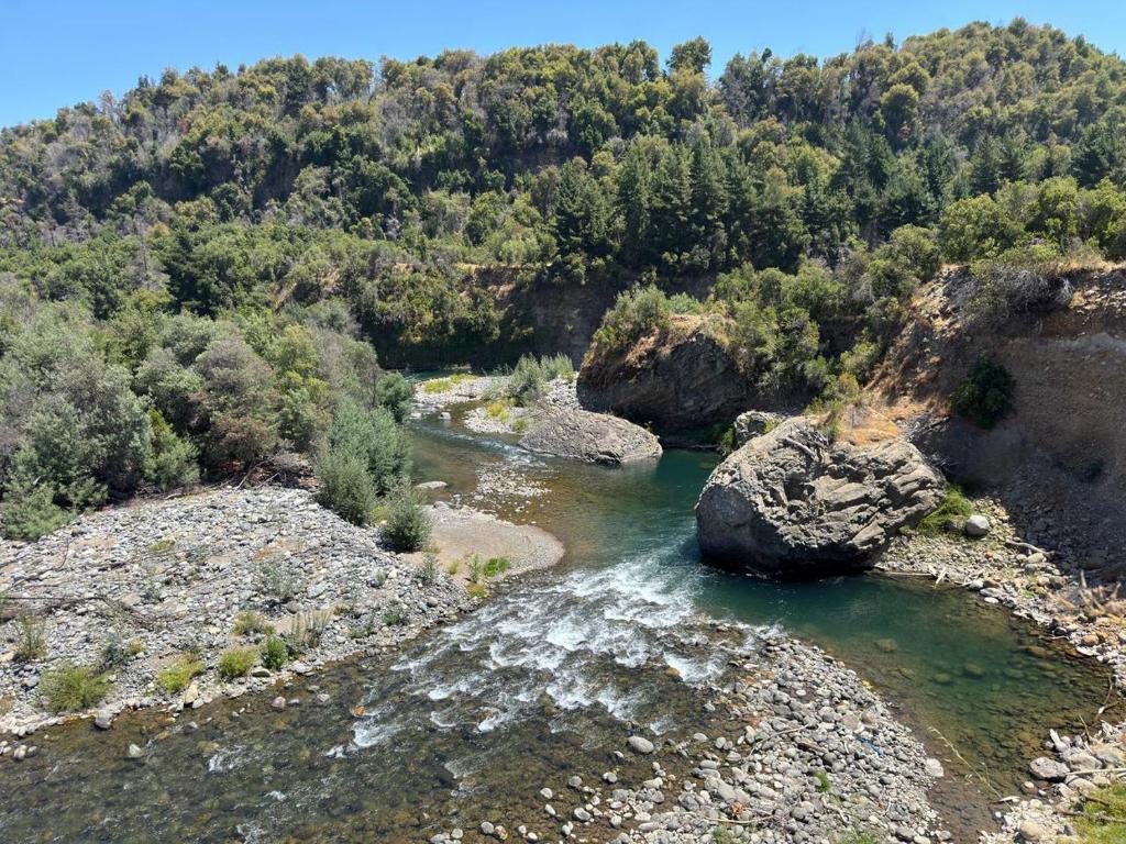 Cabañas Cocodrilo Lodge