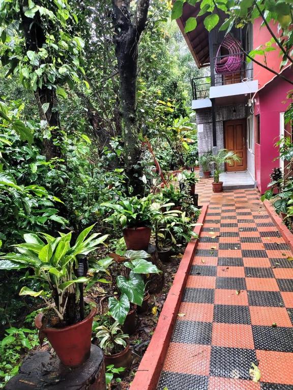 a walkway in front of a pink house with plants at CENTAURUS Coorg HOMESTAY in Madikeri