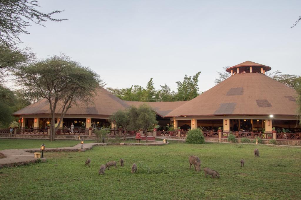 Kilima Safari Camp