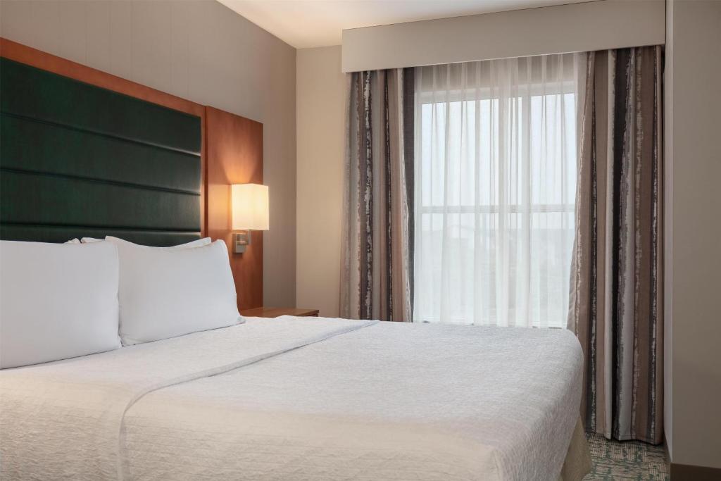 Homewood Suites TechRidge Parmer @ I-35 photo