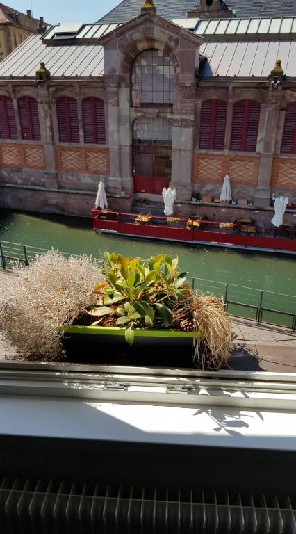 New ! VUE PETITE VENISE-PLACE TO BE - PARKING – photo 21