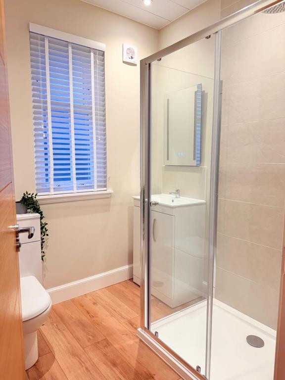 Bright and spacious 2 bedroom flat 8