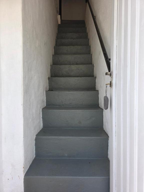 Departamento Dorsi Céntrico