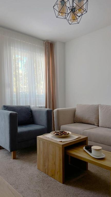 a living room with a couch and a coffee table at Apartments & rooms Concept Nordica in Žabljak