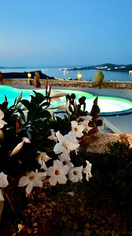 Villa Ventu di Mari, vista mozzafiato su Caprera e sulle Isole, Piscina Riscaldata in Costa Smeralda photo photo 6