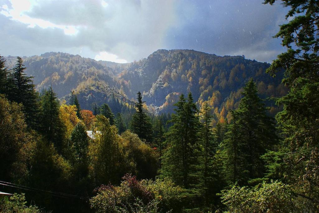 a forest of trees with mountains in the background at Tá Péfka - Suites & Cabañas con hidromasaje in La Cumbrecita