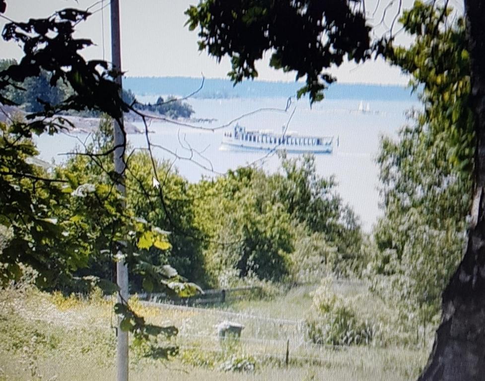 a view of the water from a hill with trees at Charmig stuga med havsutsikt in Karlskrona