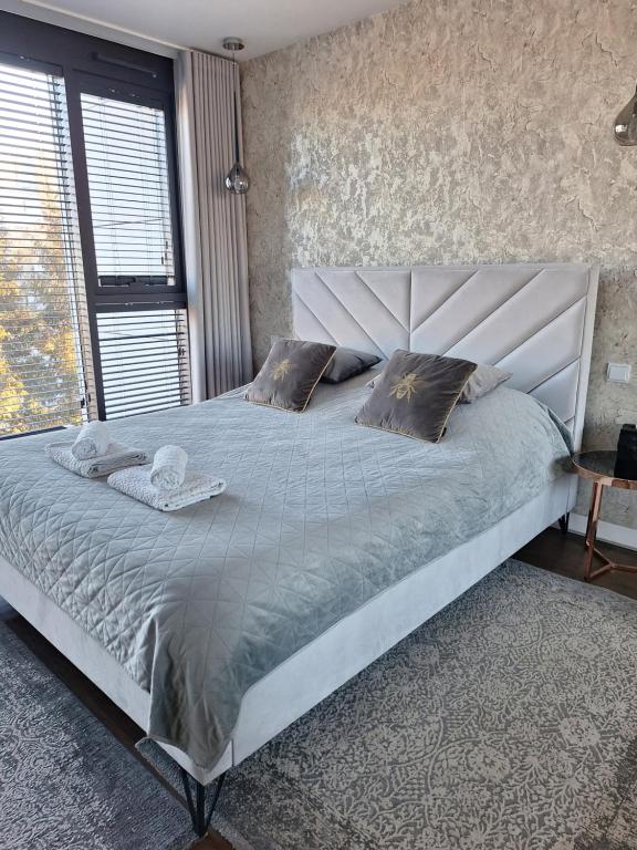 UNIA ART Apartament 61 -BASEN I SPA - 1