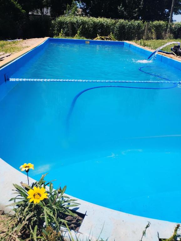 a blue swimming pool with a yellow flower in a yard at Casa Valle Verde in Sierra de los Padres