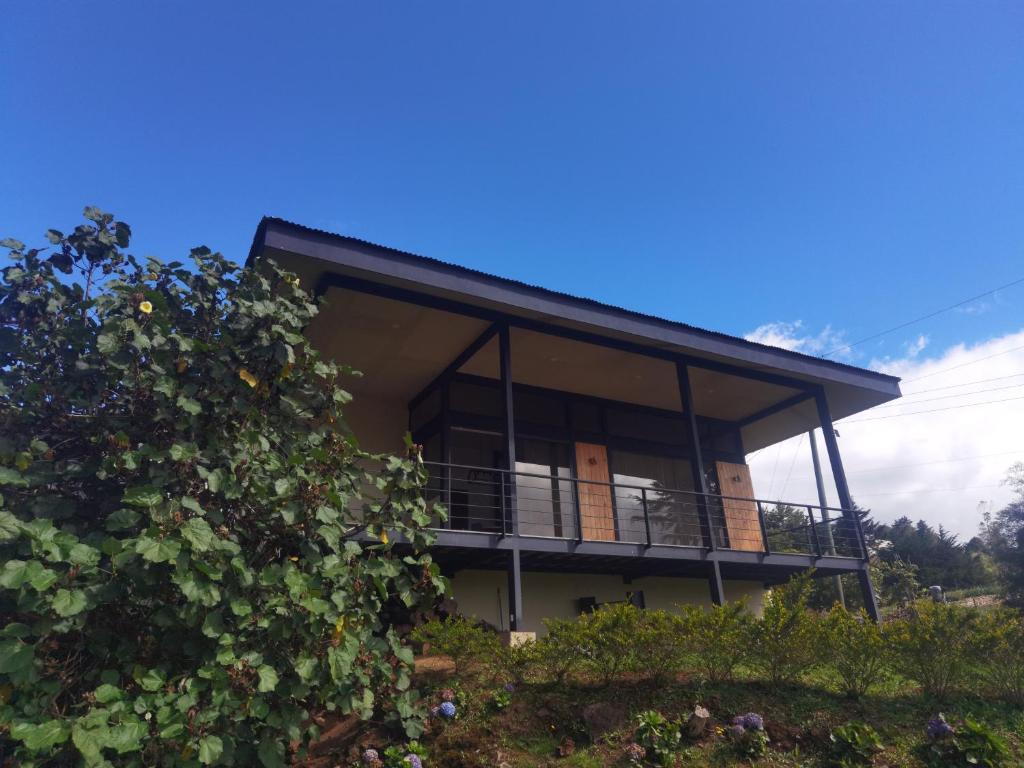 a house with a balcony and a tree at Casa Nébula La Cima de Dota in El Copey