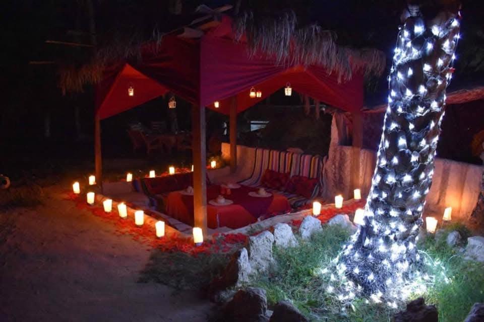 a tent with candles and a palm tree at night at La tente in Tamaghzah
