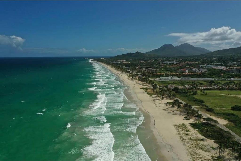 an aerial view of a beach with palm trees at El Refugio II, cerca Playa El Agua y Playa Parguito, VENEZUELA in Loma de Guerra