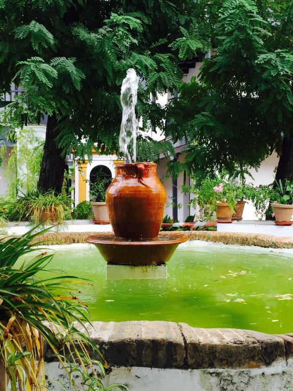 Zahrada ubytování Oasis en el centro de Sevilla