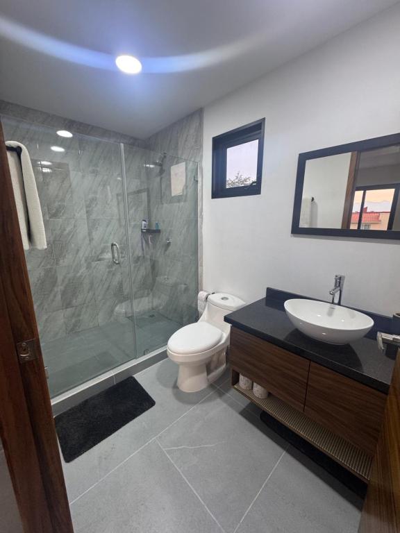 a bathroom with a shower and a toilet and a sink at Modernos Departamentos Centricos in Ciudad Guzmán