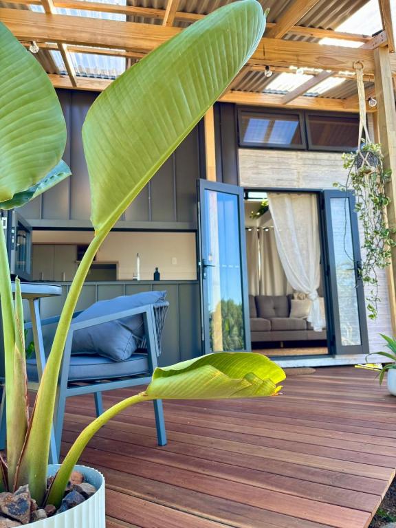 a house with a large green plant on a wooden deck at Cape Byron Cabin in Coorabell Creek