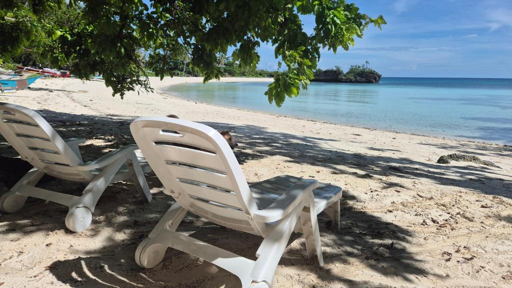 two chairs sitting on the beach under a tree at Malaika Bay Hideaway in San Francisco