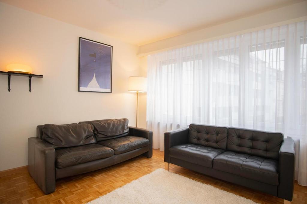Central 2-bed flat in city center with BaselCard