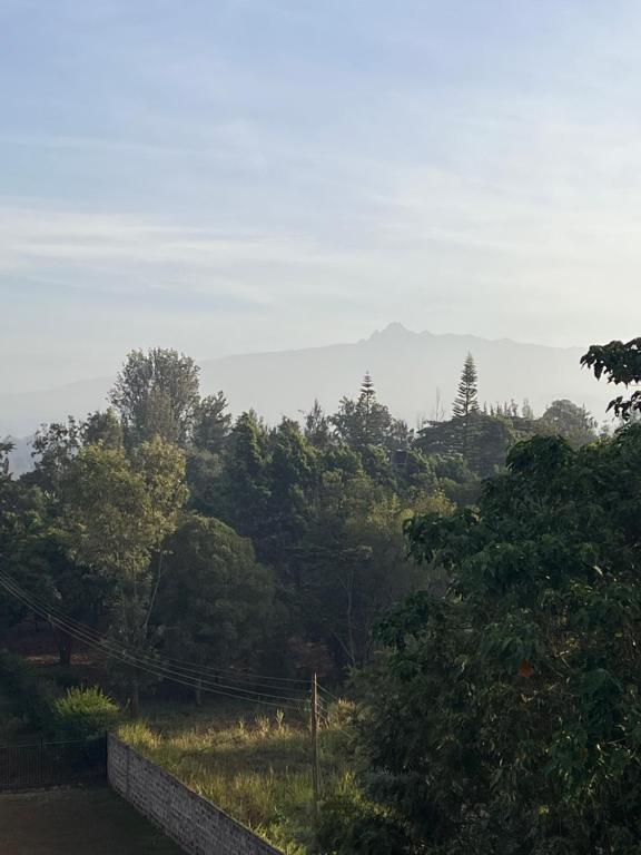a view of a forest of trees in the distance at The Mountain Gaze in Nyeri