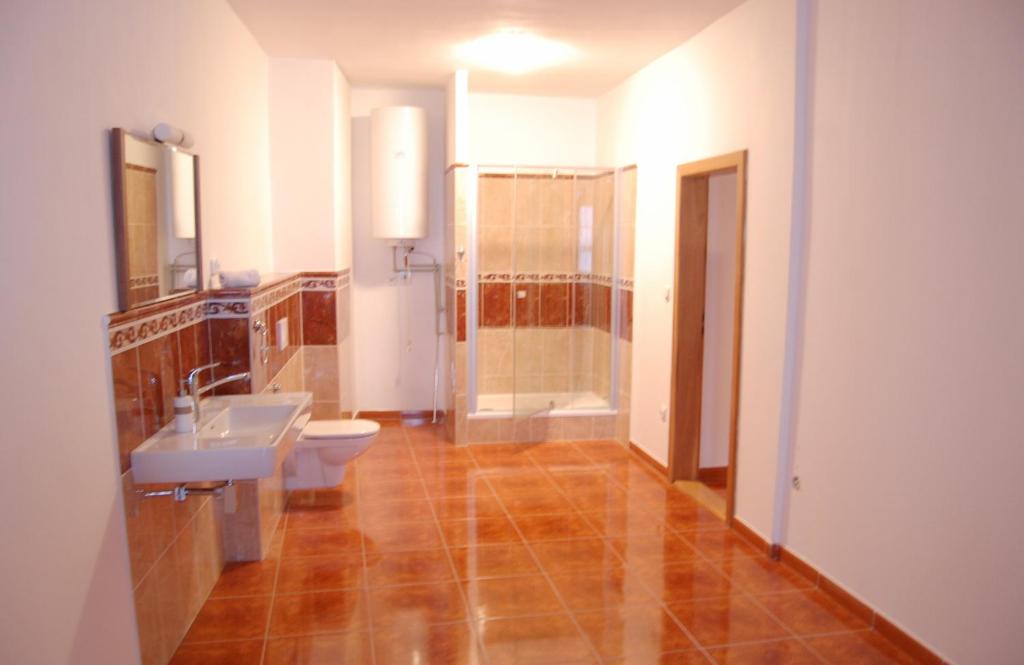 een badkamer met een toilet, een wastafel en een douche bij Belcanto Apartments in Český Krumlov