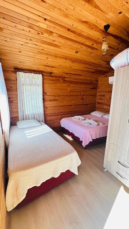 Fullmoon Camp - Deluxe Double Room