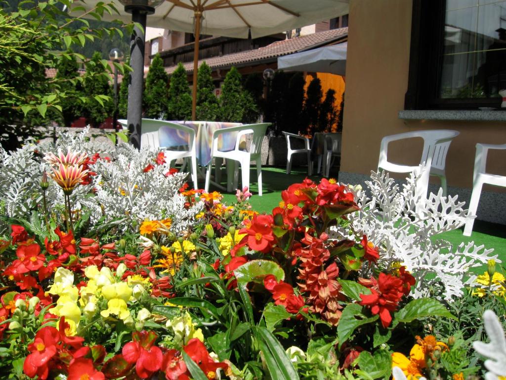 Zahrada ubytování Hotel Binelli