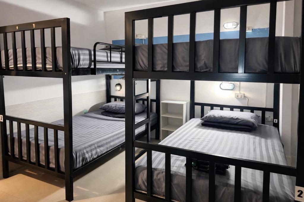 Happy Fish Guesthouse - Female Dormitory Room