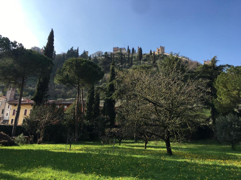 a park with trees and a hill in the background at Casa delle Rose - Appartamento Dagape in Marostica