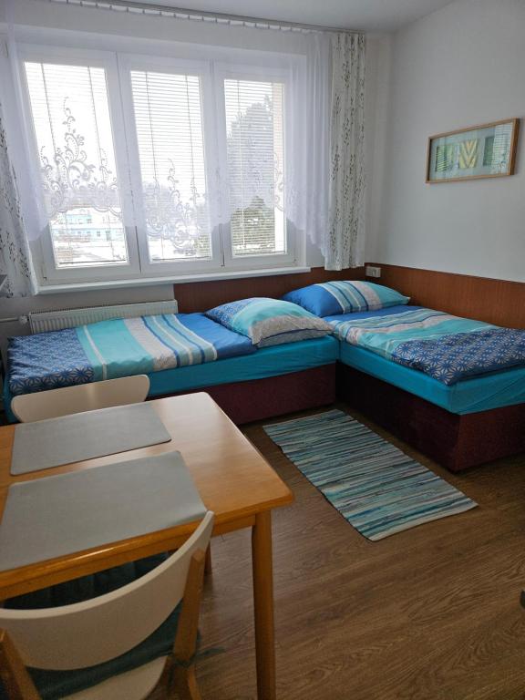 a room with two beds and a table and two windows at Apartmán pro dvě osoby Ostrov in Ostrov
