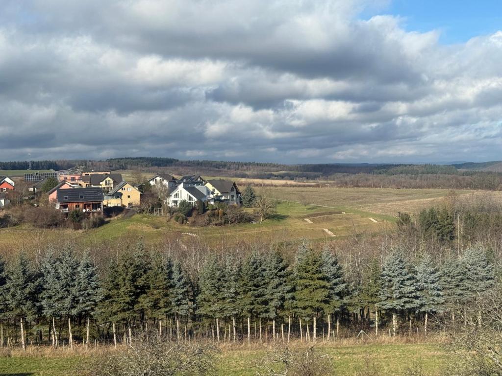 a group of christmas trees in a field at Lina Ferienhaus in Longkamp