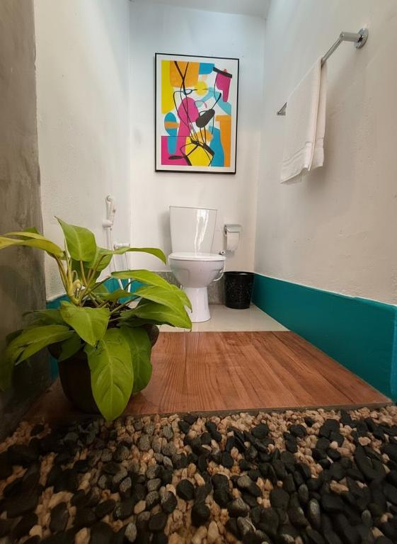 a bathroom with a toilet and a plant in it at The Bunker Hostel Ella in Ella