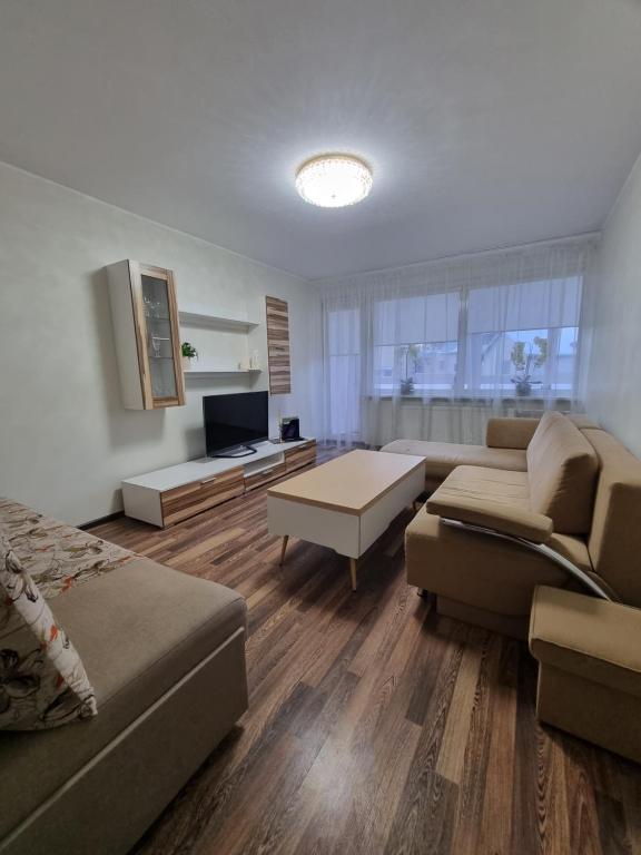 a large living room with a couch and a tv at Airida Forest Apartment in Druskininkai