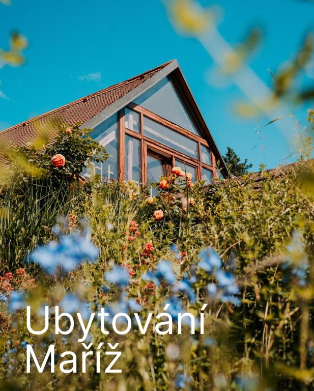 a house on a hill with flowers in the foreground at Apartmány Maříž in Maříž