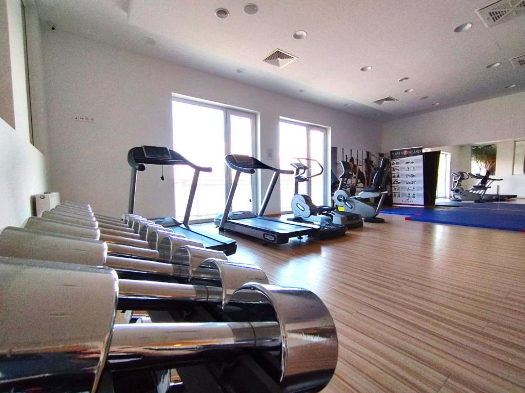 Fitness room with chrome dumbbells in foreground, treadmills and exercise bikes by sunlit windows.