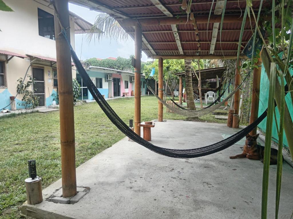 a hammock in a house with a dog laying on the ground at La tribu in Simiátug