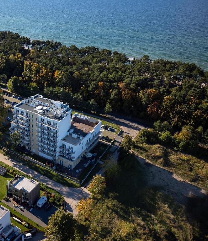 Aerial view of seaside hotel building bordered by dense pine forest and shoreline.