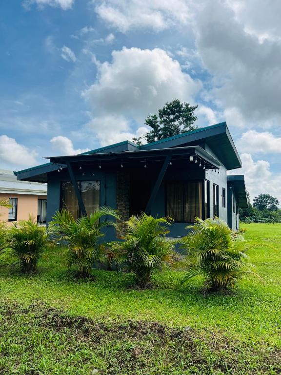 a house with palm trees in front of it at Epic Arenal View House in Fortuna