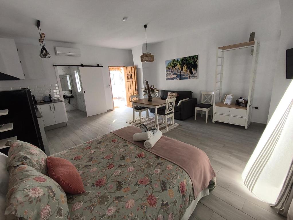 Apartamentos Turísticos Antonio Parra - One-Bedroom Apartment