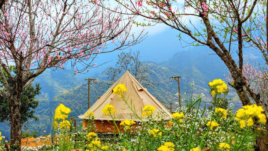 a tent in the middle of a field of flowers at Hà Giang Camping in Mèo Vạc