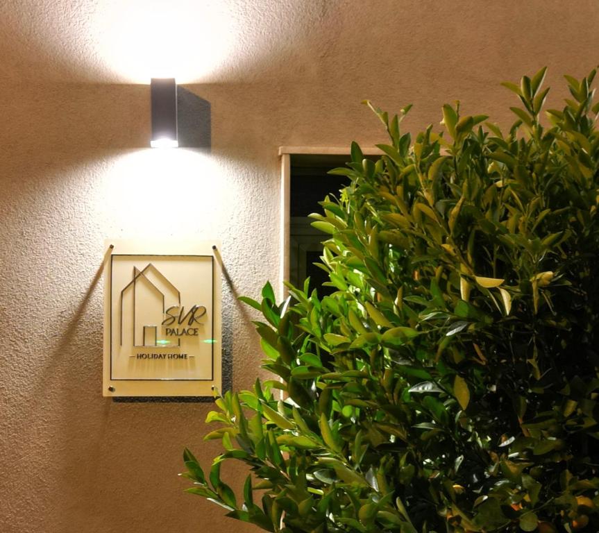 a light on a wall next to a green plant at SVR Green in Bronte